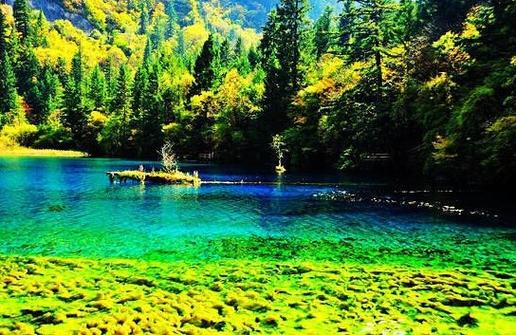 四川九寨沟旅游攻略