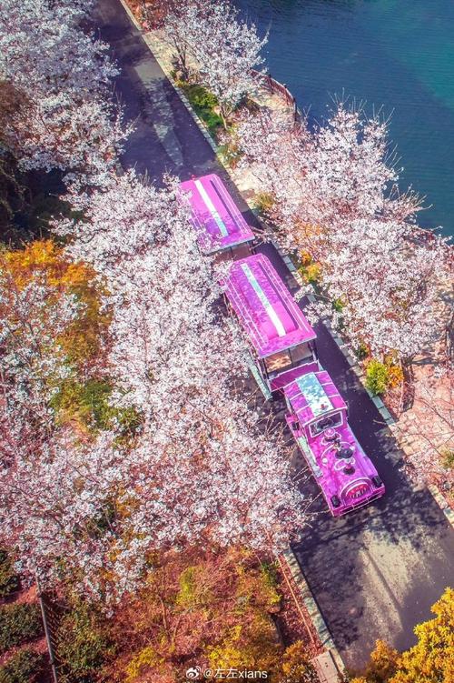 上海旅游必去景点攻略
