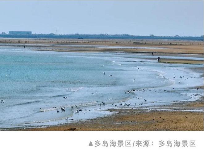 天津海河新地标首批趸船码头开启文旅新篇章