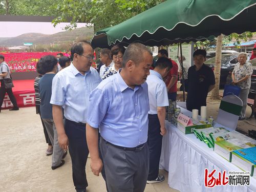 灵武市美丽乡村休闲旅游推介活动探索自然与文化的和谐共生
