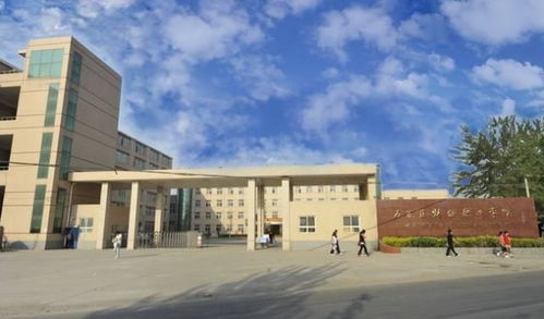 在石家庄邮电职业技术学院，我如何从“菜鸟”变“老鸟”？