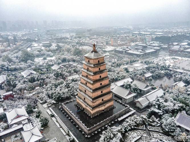 目标受众