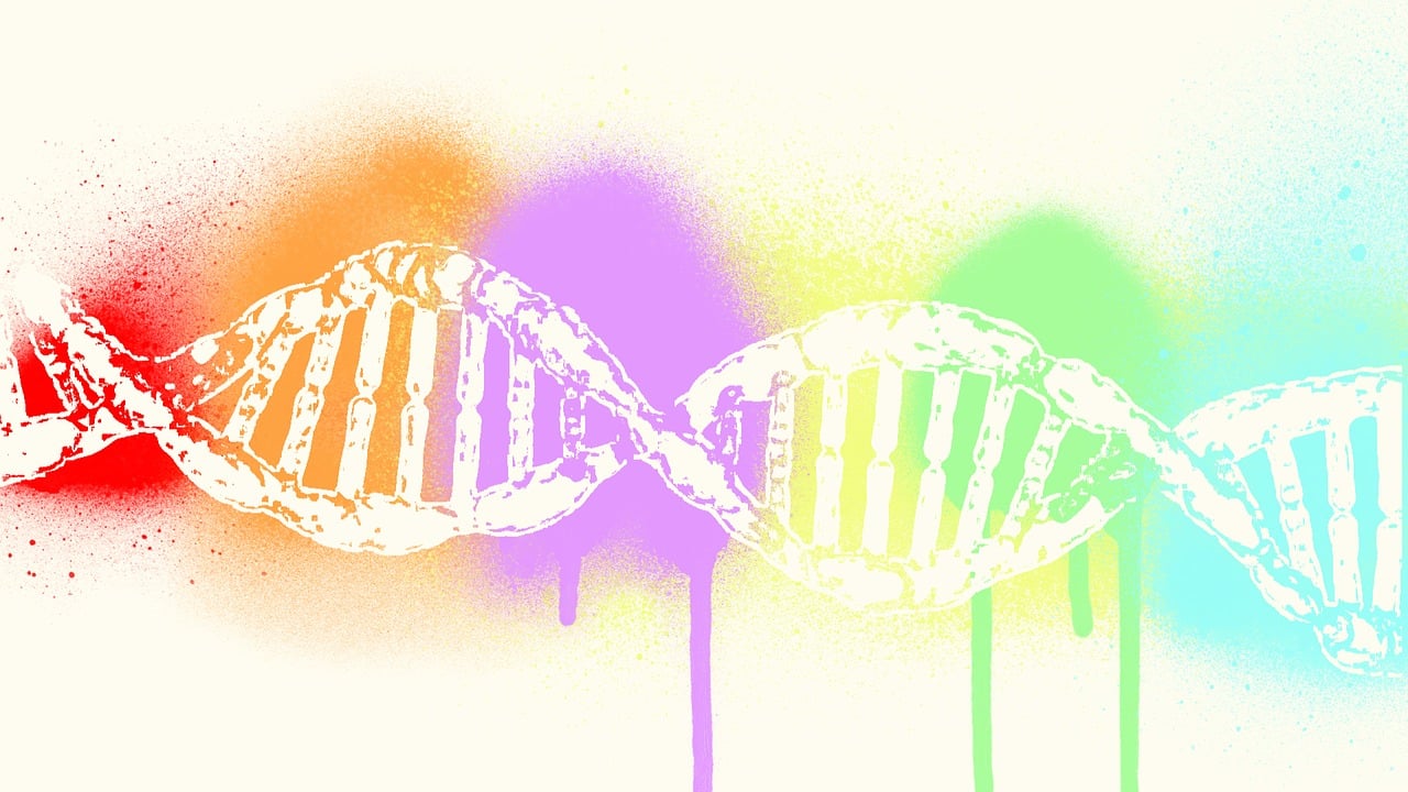 数说旗舰物种多样化保护之路——探索生物多样性保护的策略与挑战