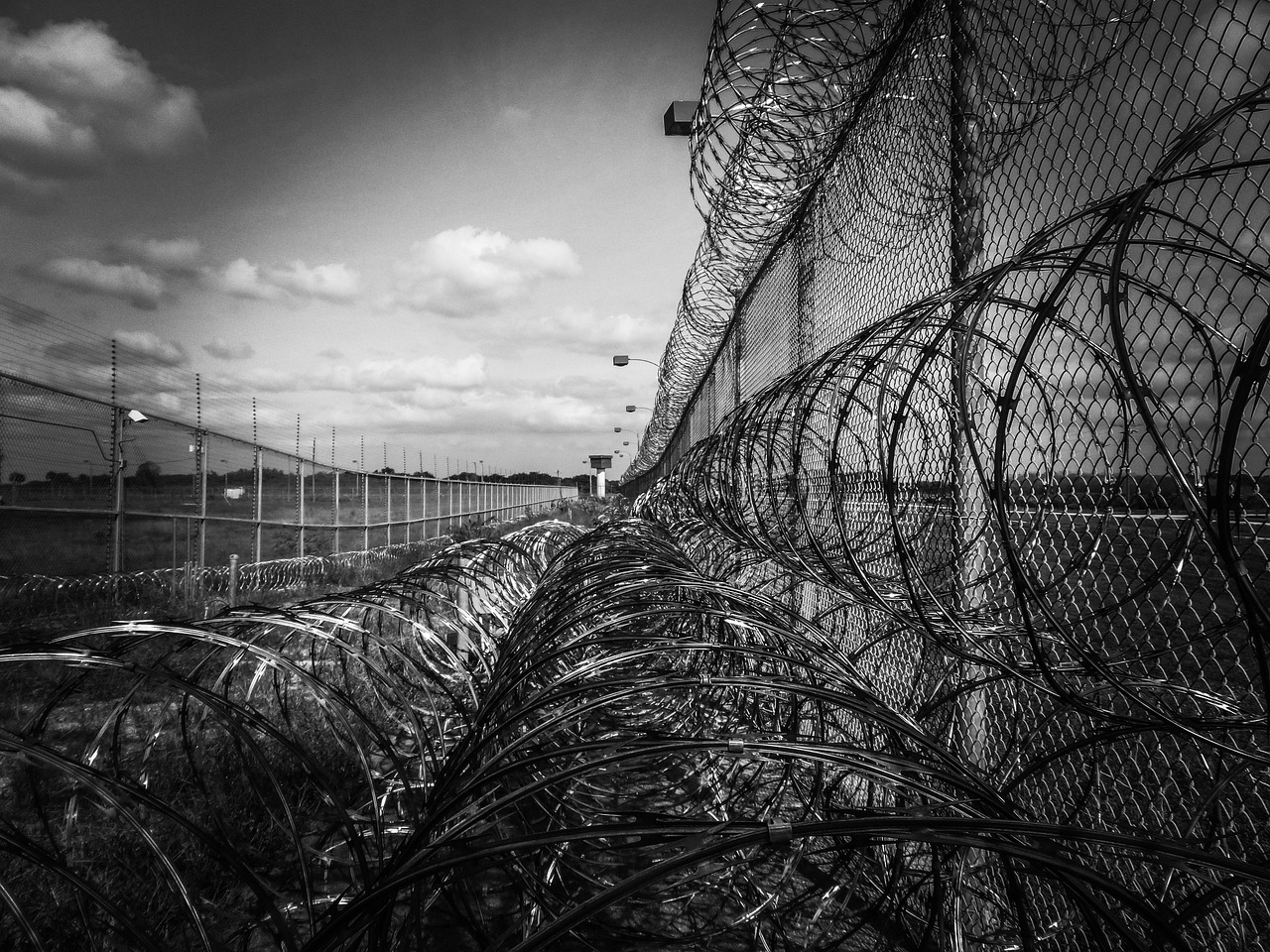 河南警方悬赏高额抓捕令，追捕赵子龙行动正全面展开