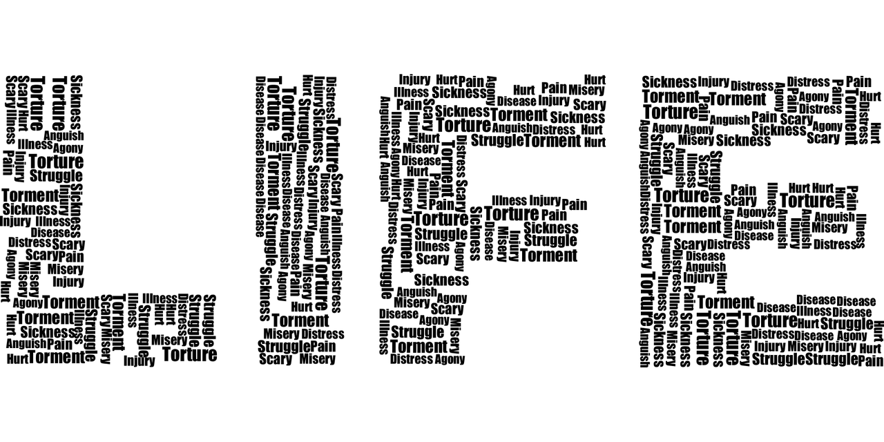 不畏苦难向前冲代表是指什么生肖，词语落实