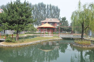 1.九华山庄