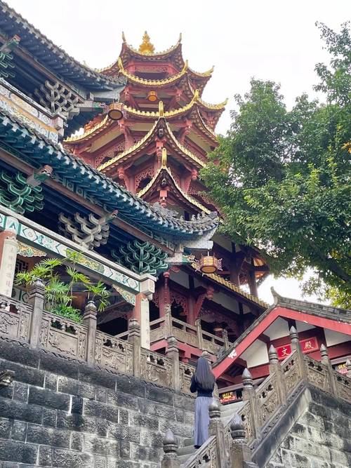重庆青年的秘密基地