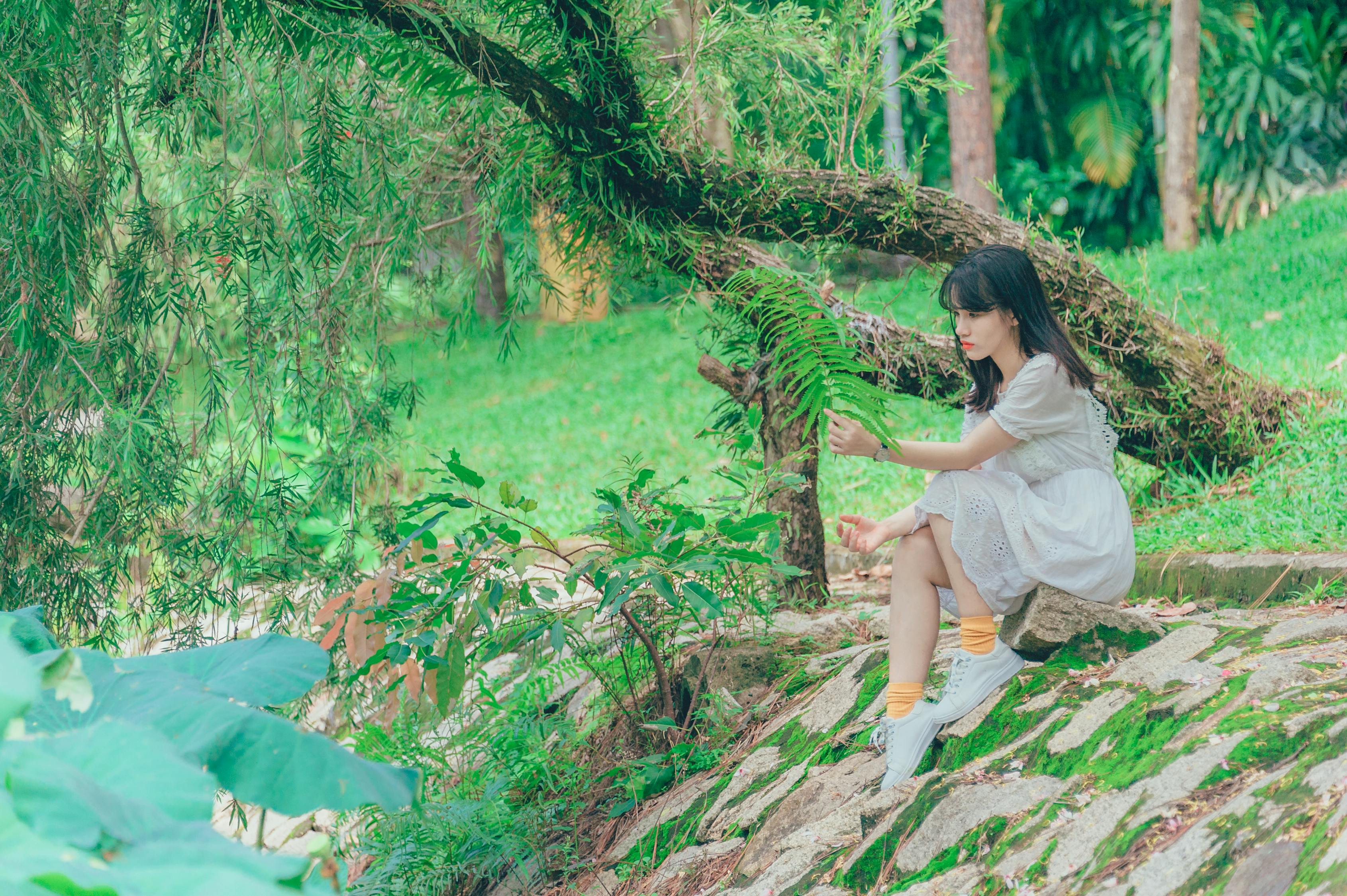 穿越热带雨林，探索神秘的西双版纳