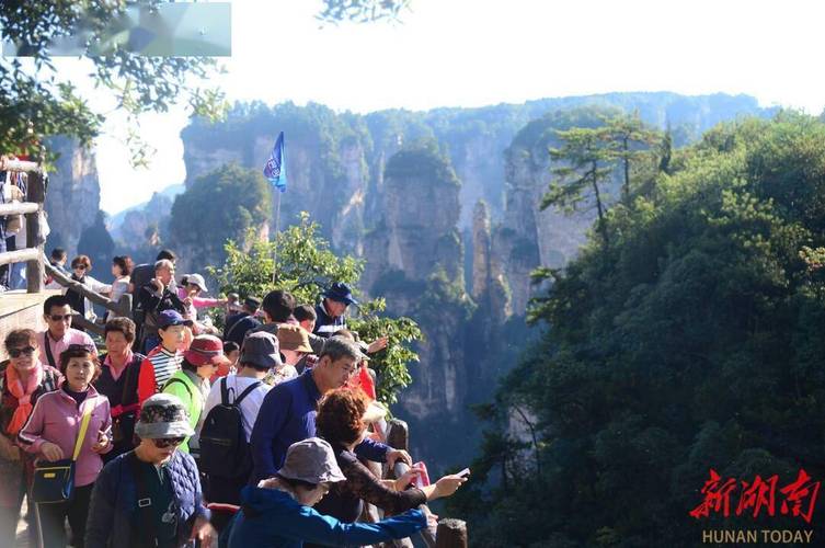 张家界武陵源新青年国际旅行社有限公司纠纷