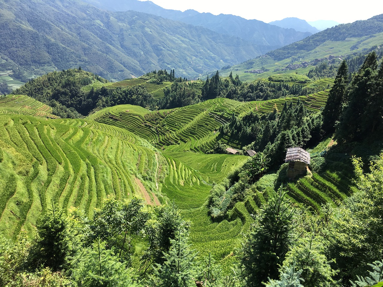 走进桂林龙胜梯田，一幅流动的水墨画卷