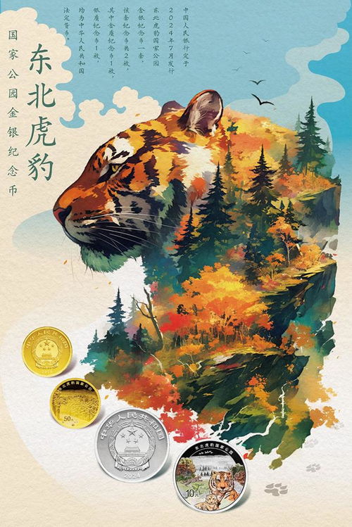 武夷山属于哪个省