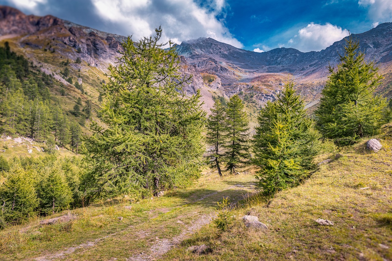 探索世界的美丽角落，旅游景点不容错过的精彩体验