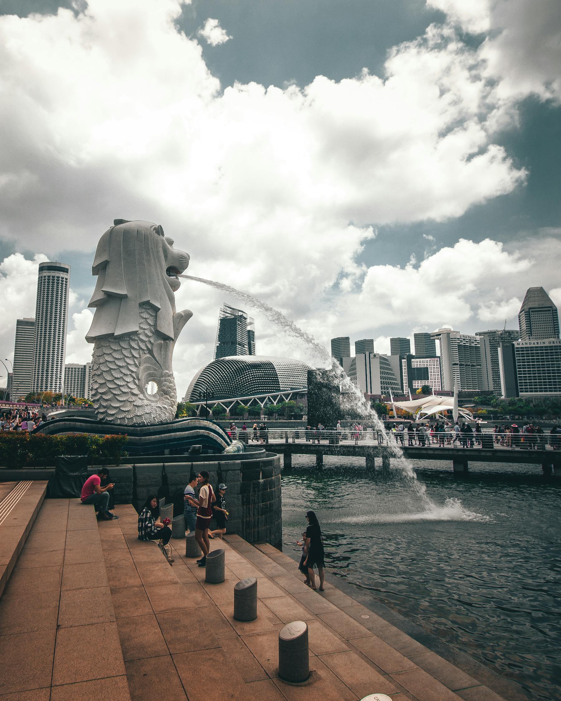 旅游知名品牌，打造独特体验的行业巨头