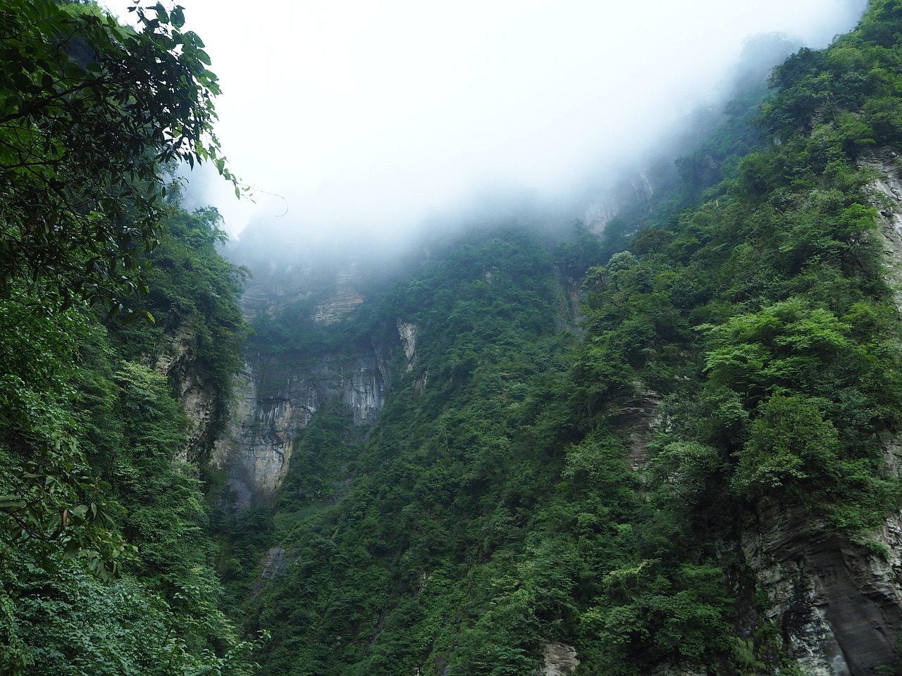 峨眉山，云雾缭绕中的仙境