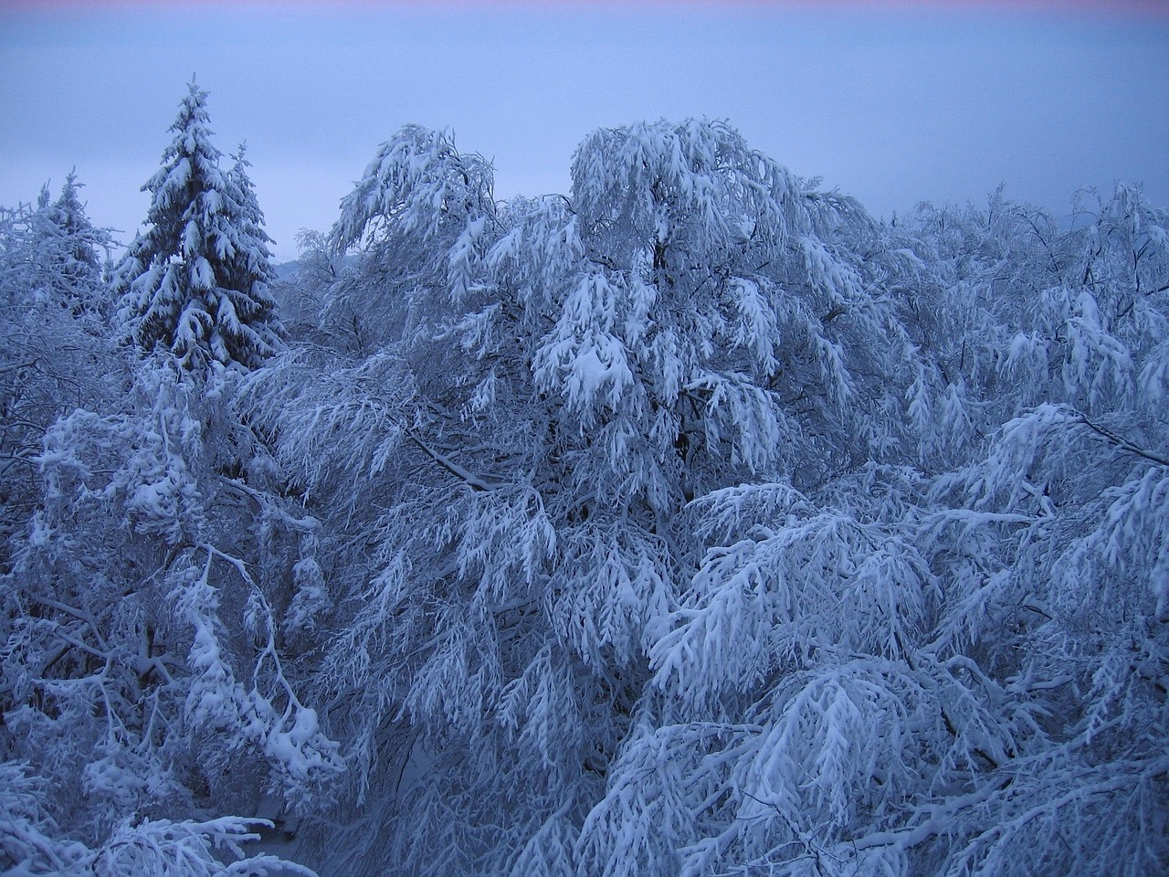 哈尔滨未来60天天气预测，冬季的冰雪奇缘与春季的复苏