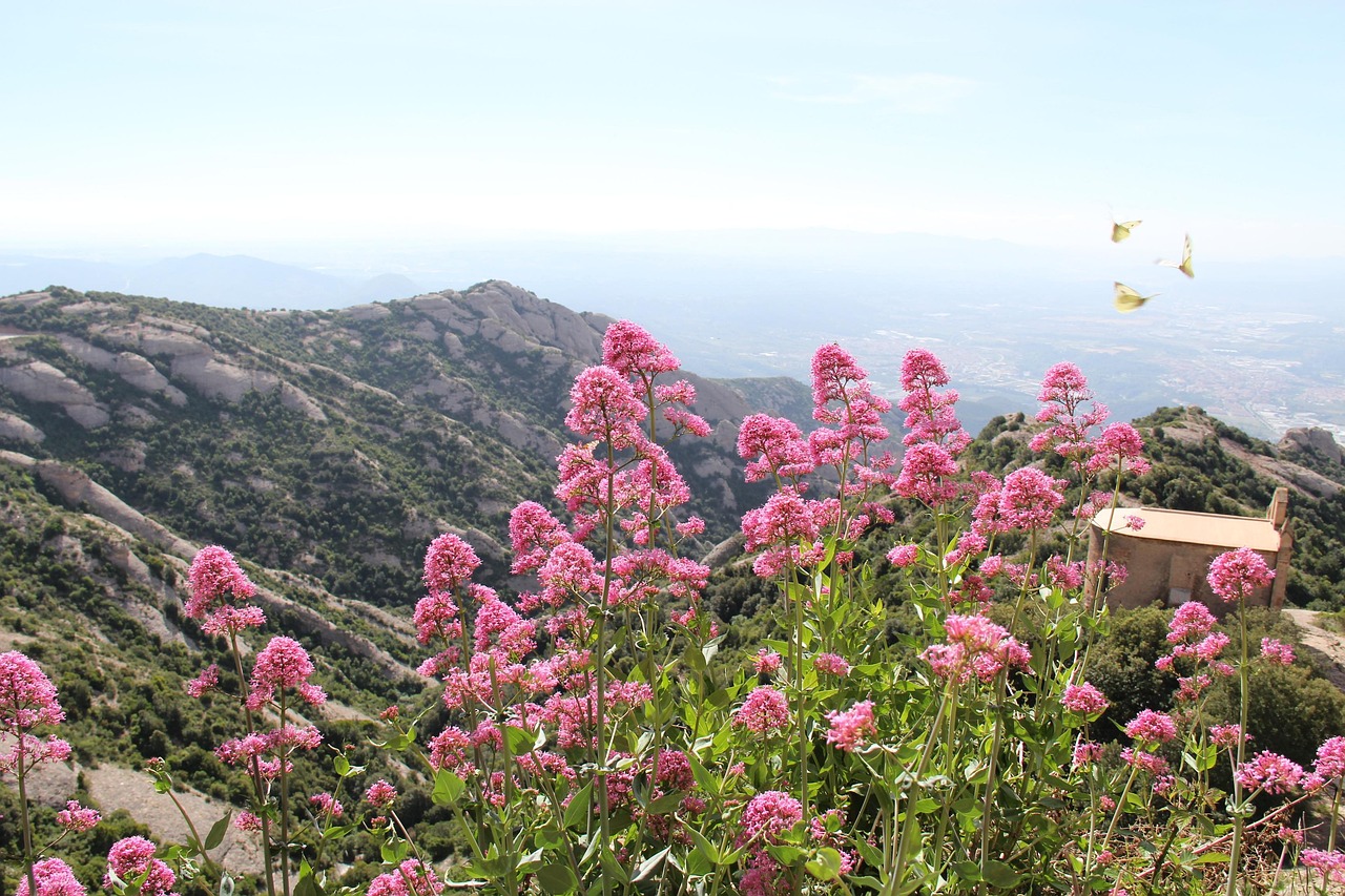 春节避峰行，探索那些冷门又经济的旅游胜地