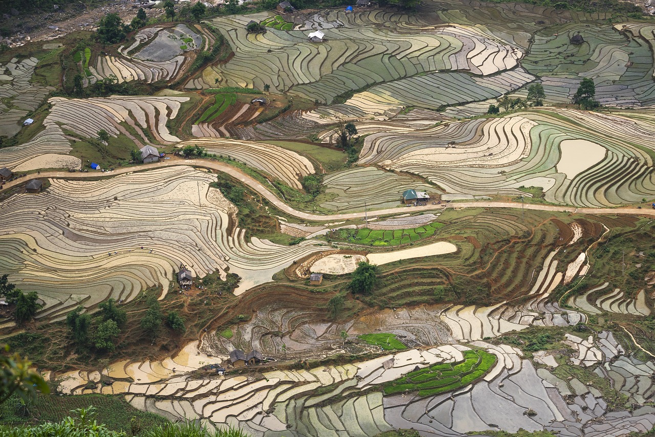 河南，华夏文明的璀璨明珠，探索中原大地的瑰宝