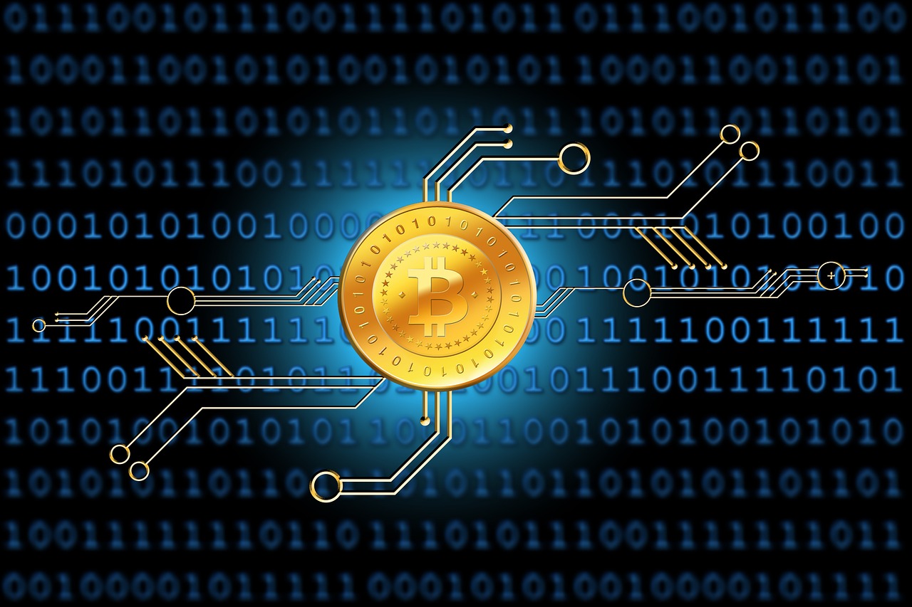 探索世界，2023年旅游网站排名排行榜前十名揭晓