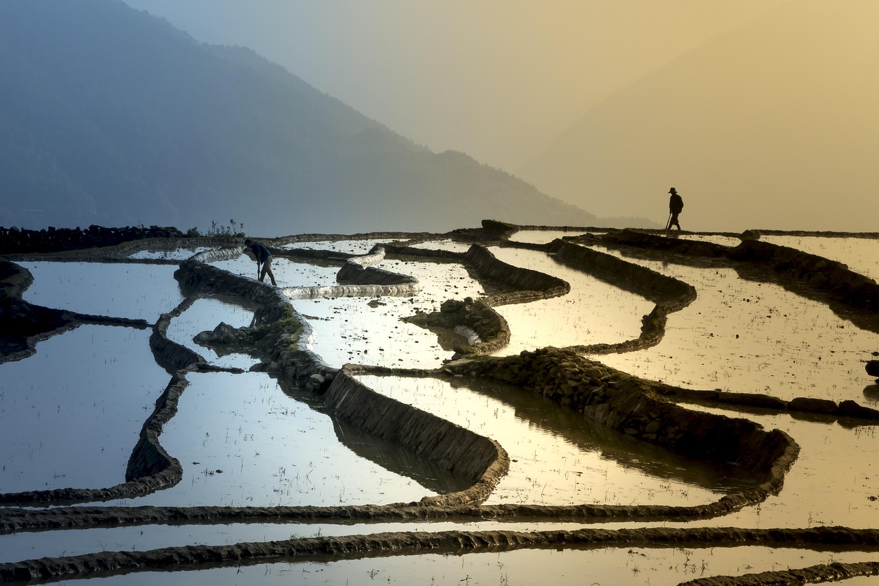 东营，黄河入海之地，生态与文化的交响