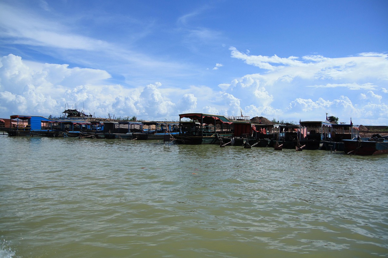 东营最佳旅游胜地，探索黄河入海口的自然奇观与文化瑰宝