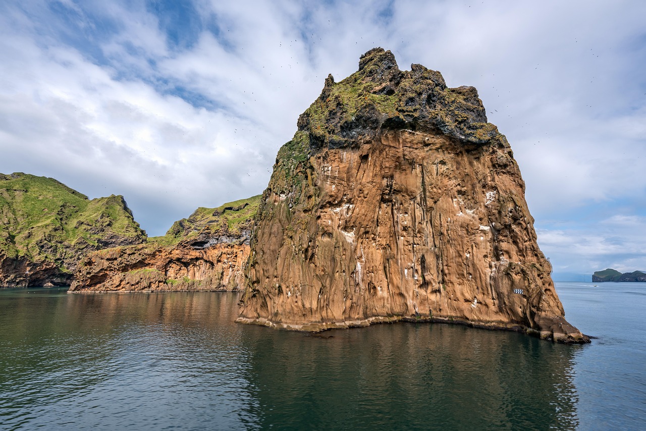 东营旅游区，探索黄河入海口的宝藏景点