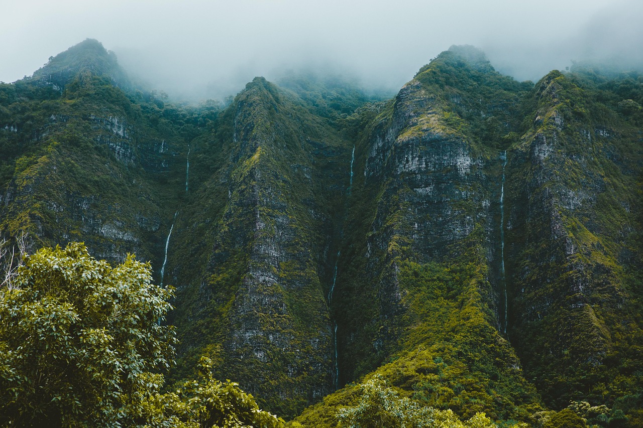 中山旅游必去的十大地方排名，探索岭南文化与自然美景