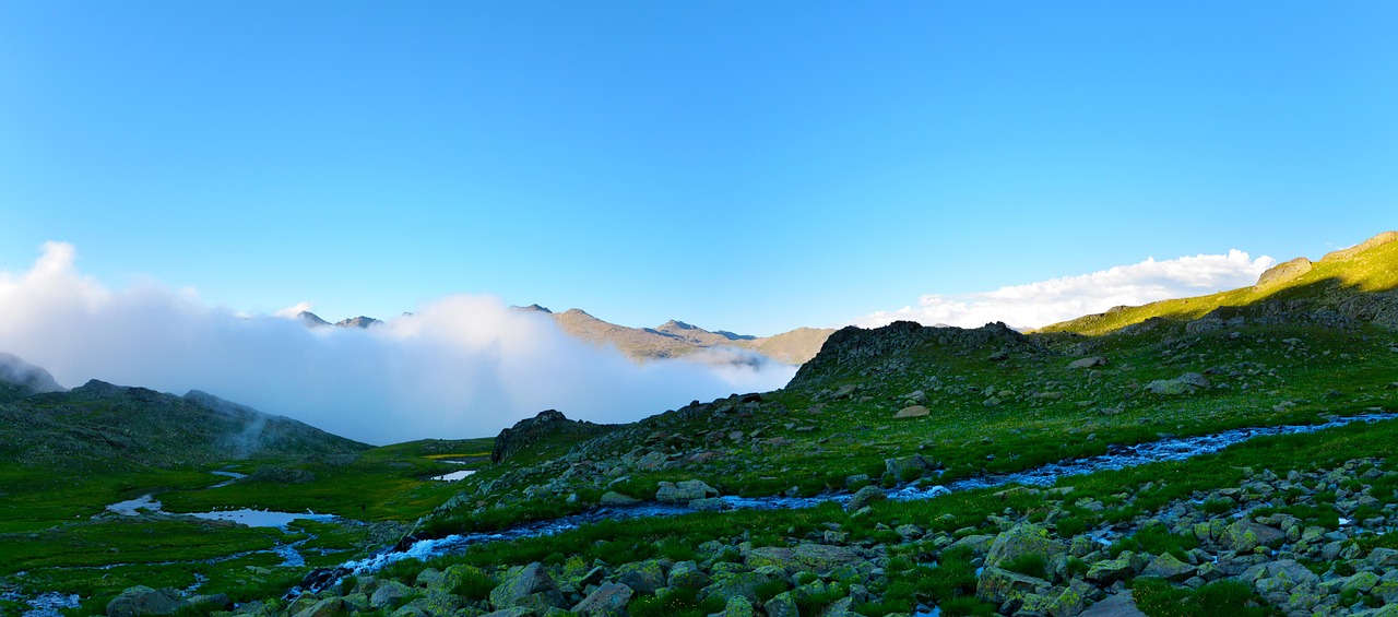 宝鸡关山牧场，拥抱自然，体验草原风情的完美攻略
