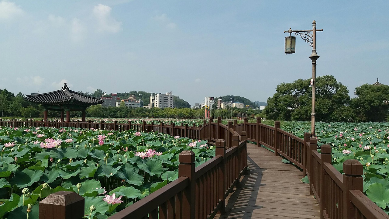 北京公园大全，城市绿洲的绿色指南
