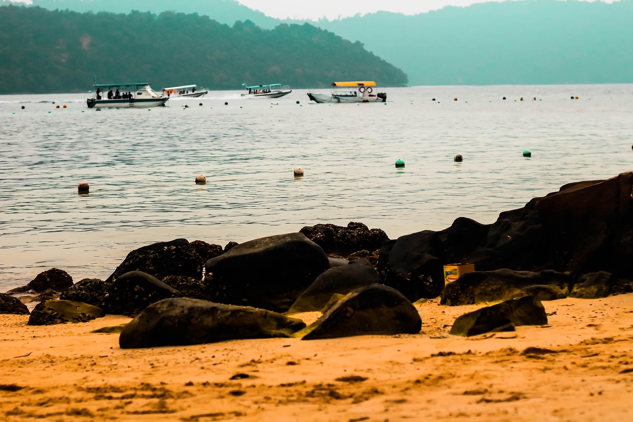 盘锦红海滩，自然奇观之旅的完美攻略
