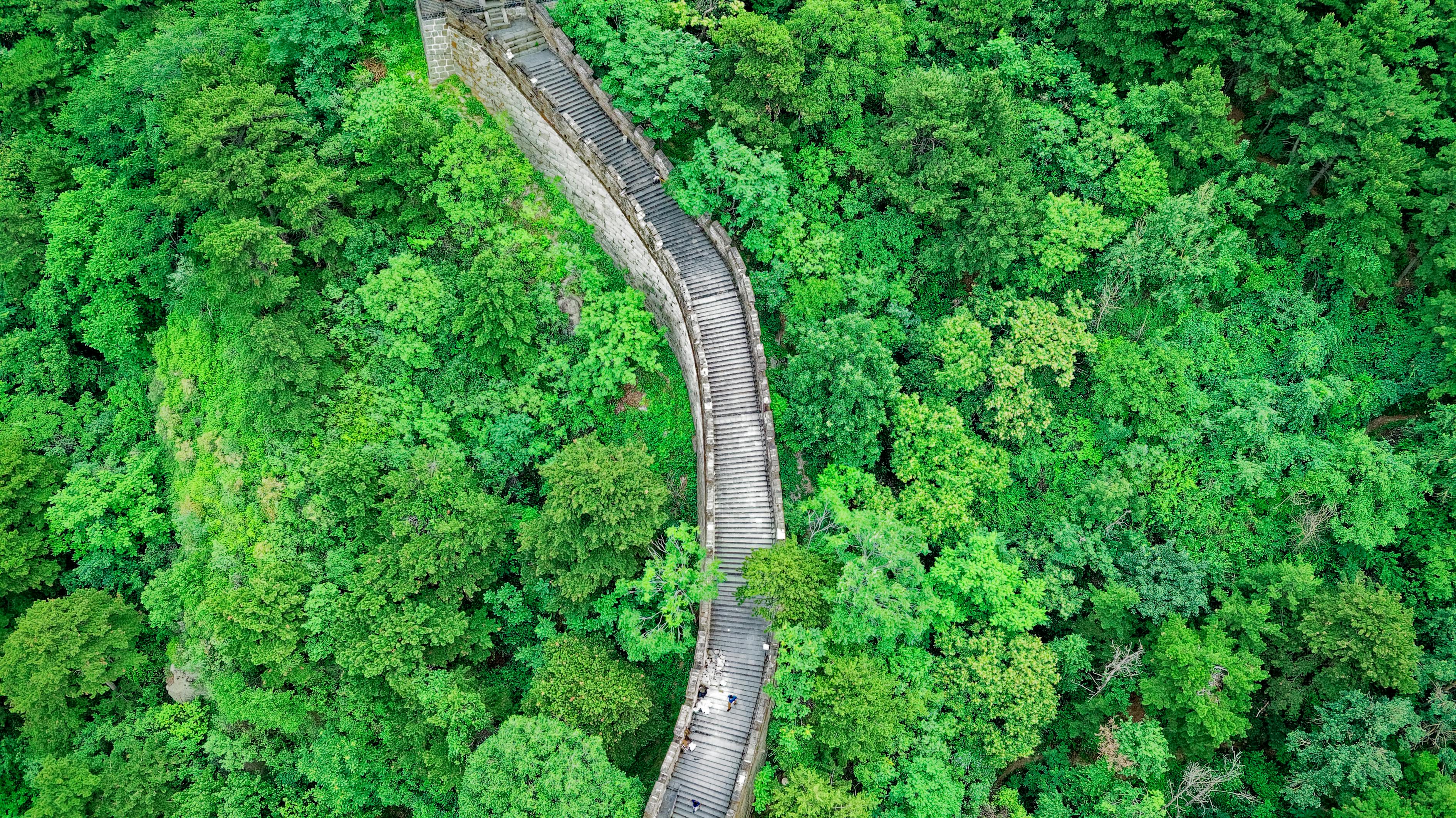 河南最新免费景区一览表2021，探索中原文化的瑰宝