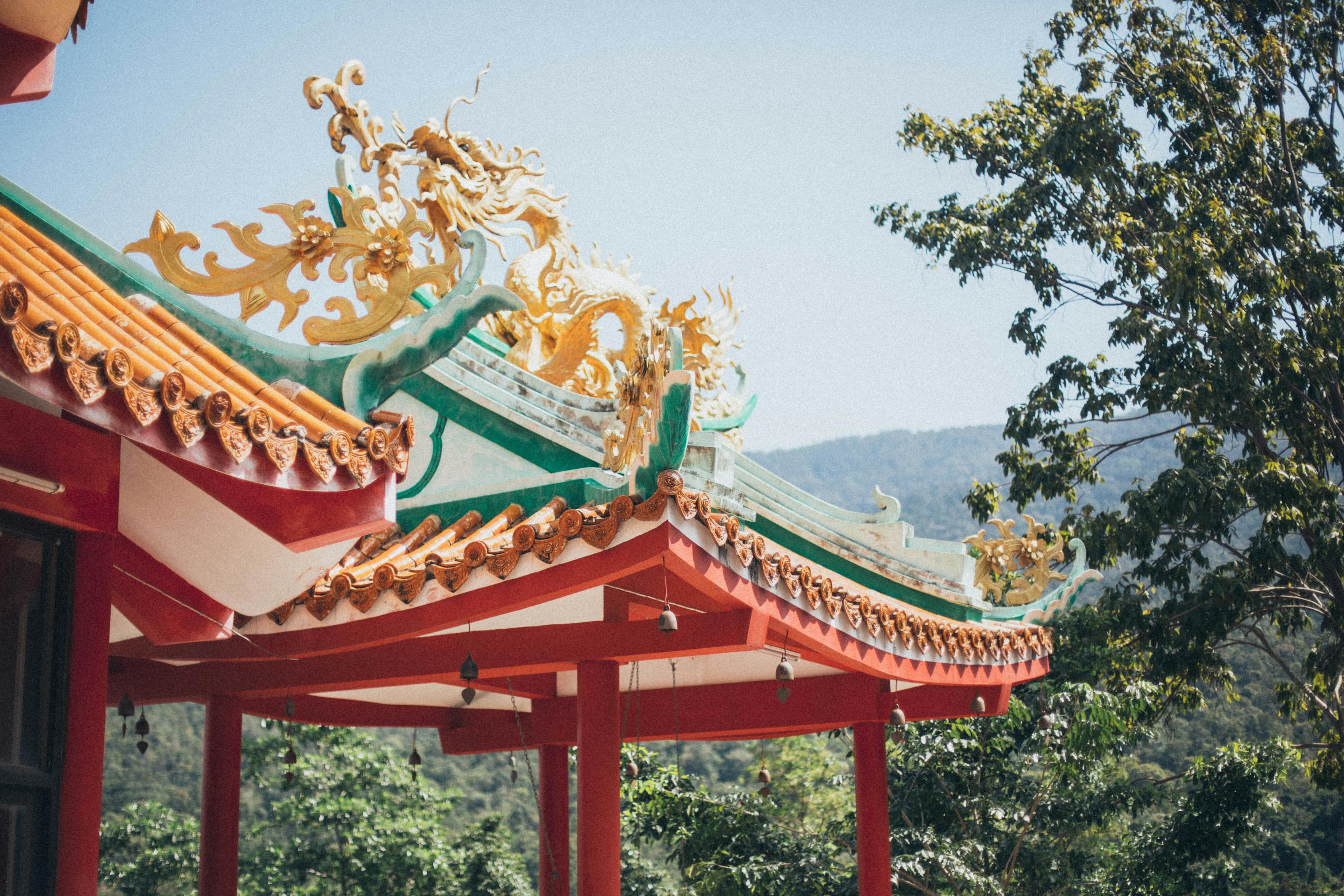 南宁春节景区活动指南，欢庆新春，体验多彩文化