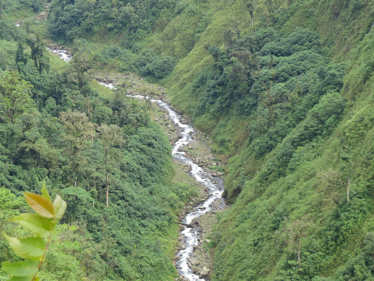 探索自然之美，观音山森林公园的生态之旅