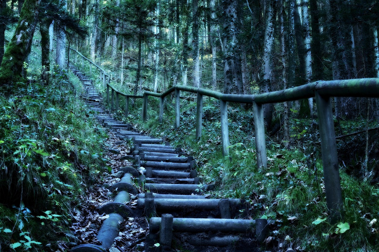 莽山森林温泉，自然馈赠的疗愈之旅