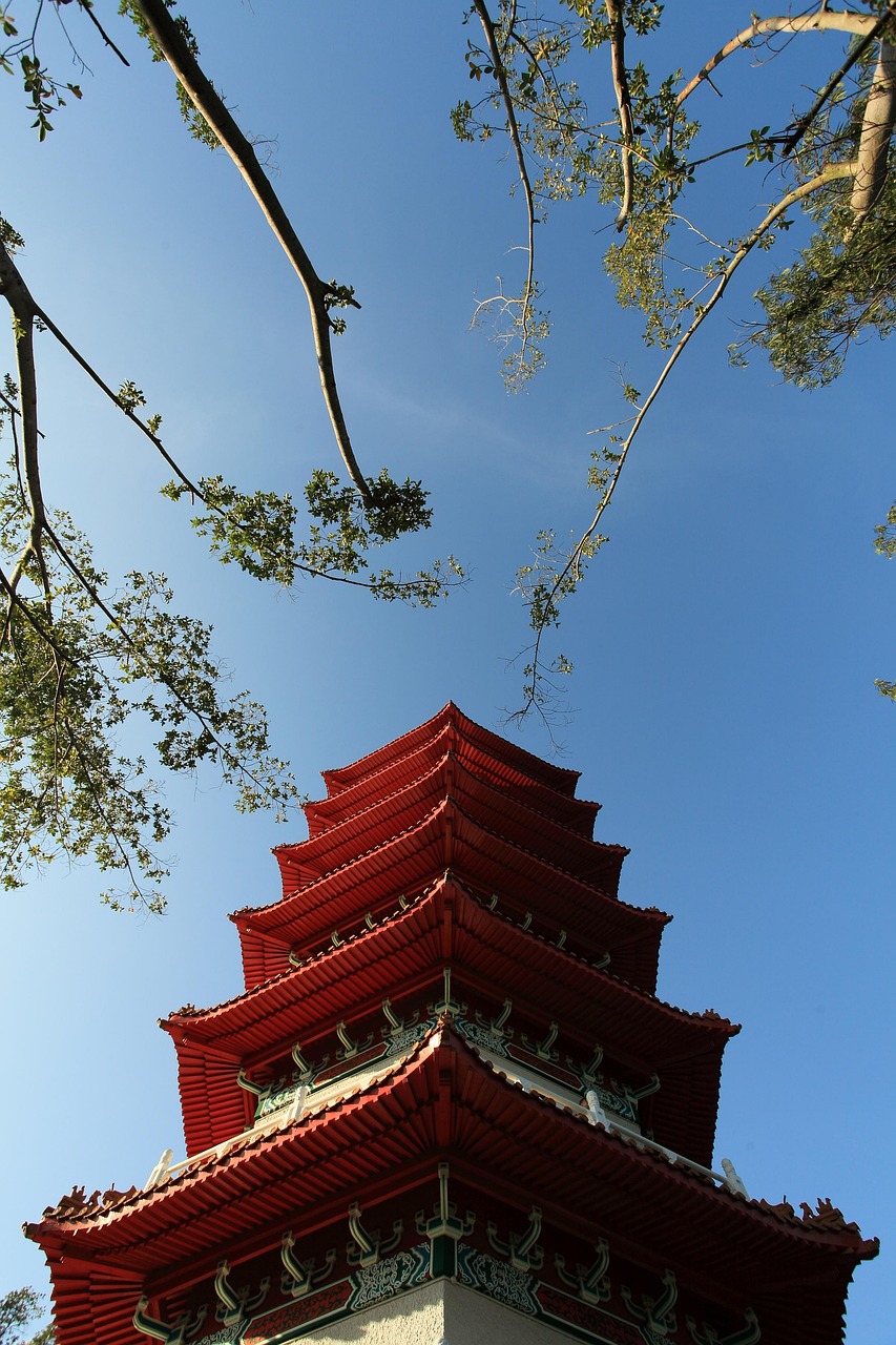 探索峨眉山的自然与文化瑰宝，主要景点深度游