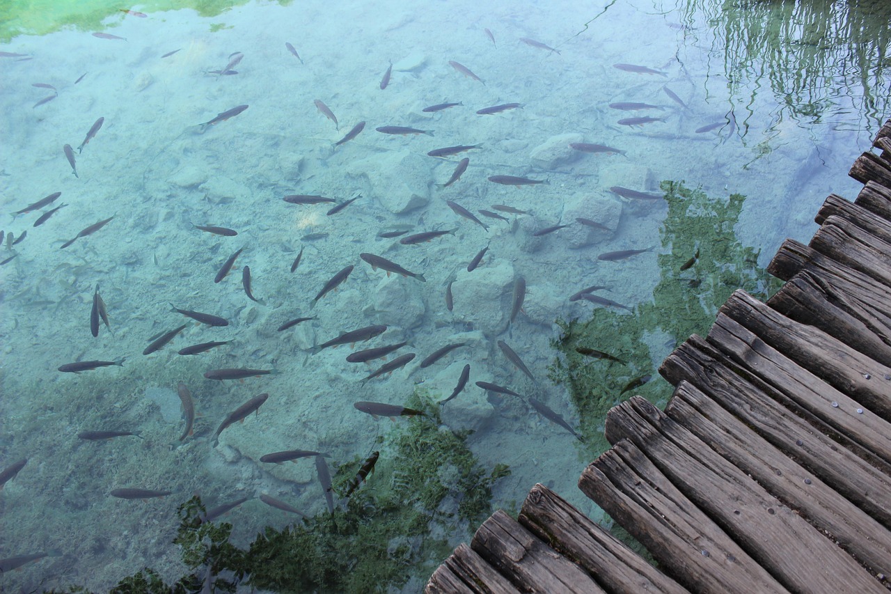 青海湖的秘密，揭开中国最大湖泊的咸淡之谜