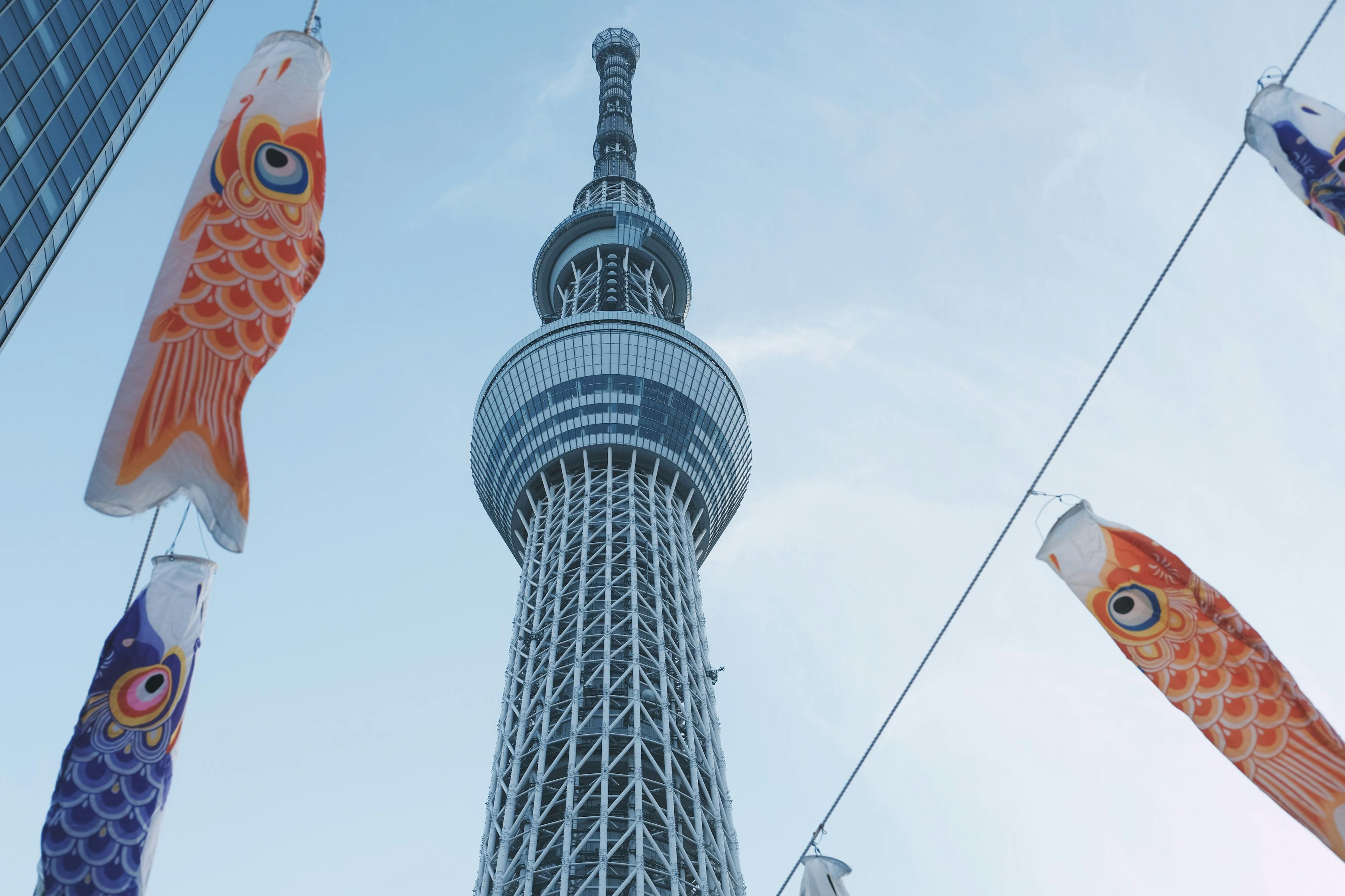 洛阳古都，穿越千年的旅行指南—洛阳景点大全与排名