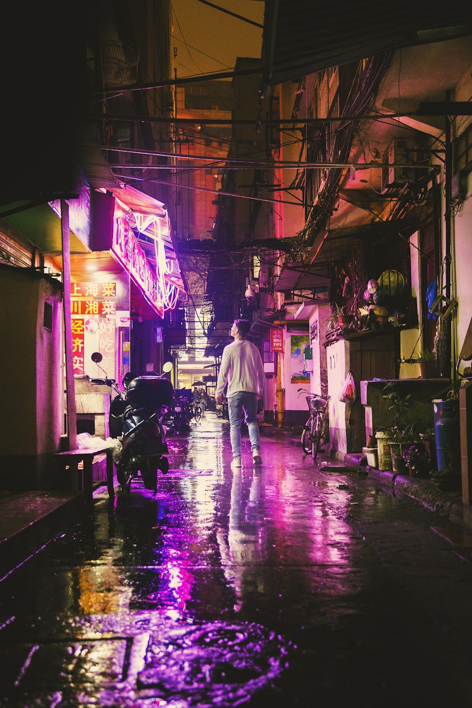 上海周边游一日游景点推荐，探索魔都周边的自然与文化瑰宝