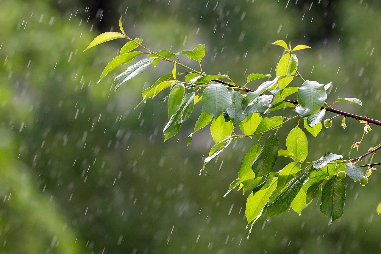 新乡明天天气：小雨到中雨12-18度，出行穿衣全攻略，让你雨天不狼狈
