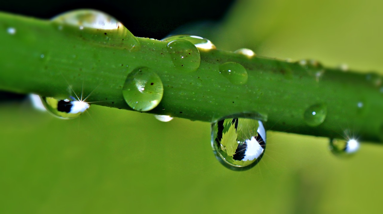 惠民天气预报：精准掌握未来天气，轻松应对阴雨出行与生活规划