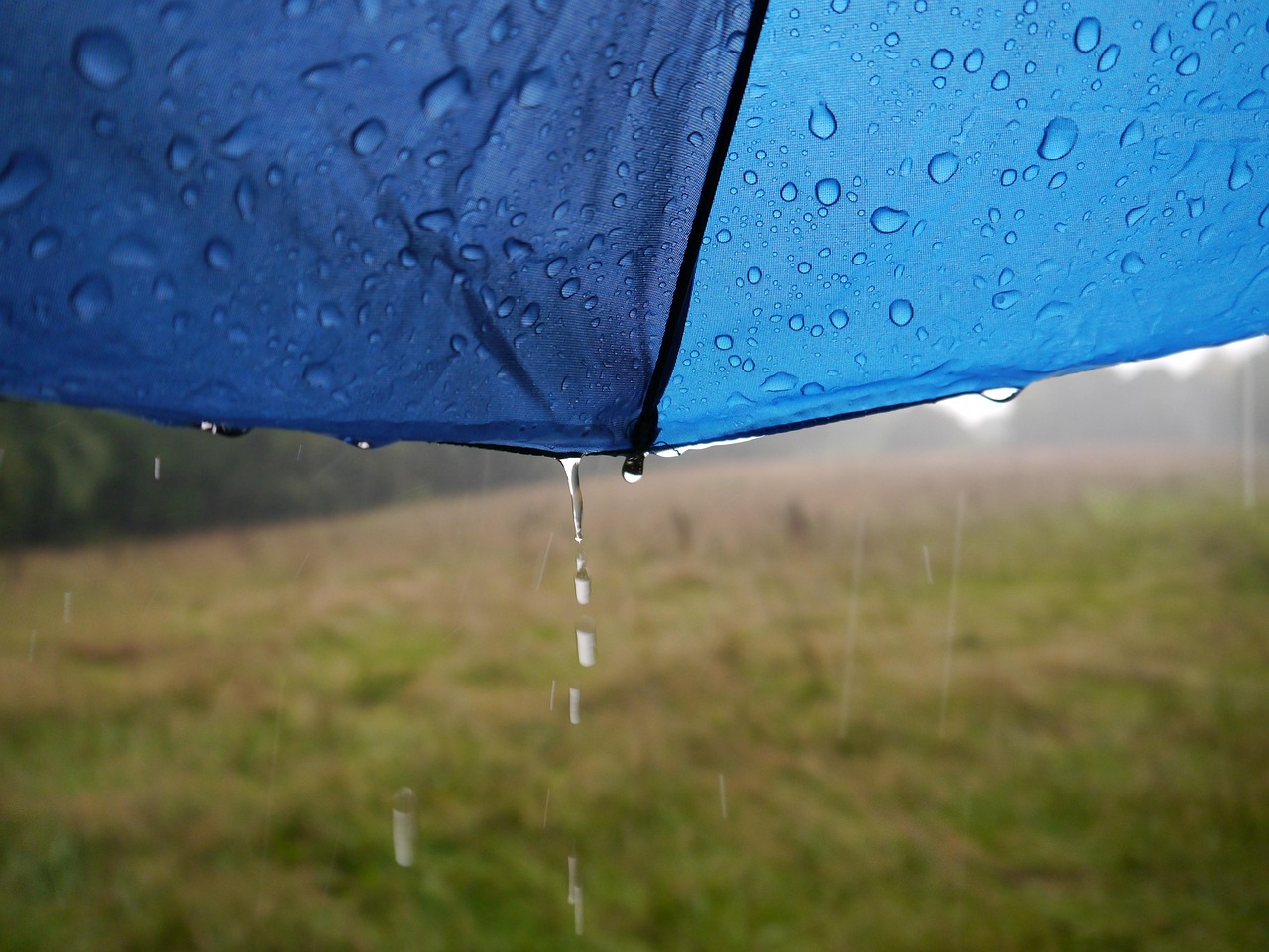 沈阳明天天气：阵雨转多云8-17℃，穿衣出行全攻略助你轻松应对