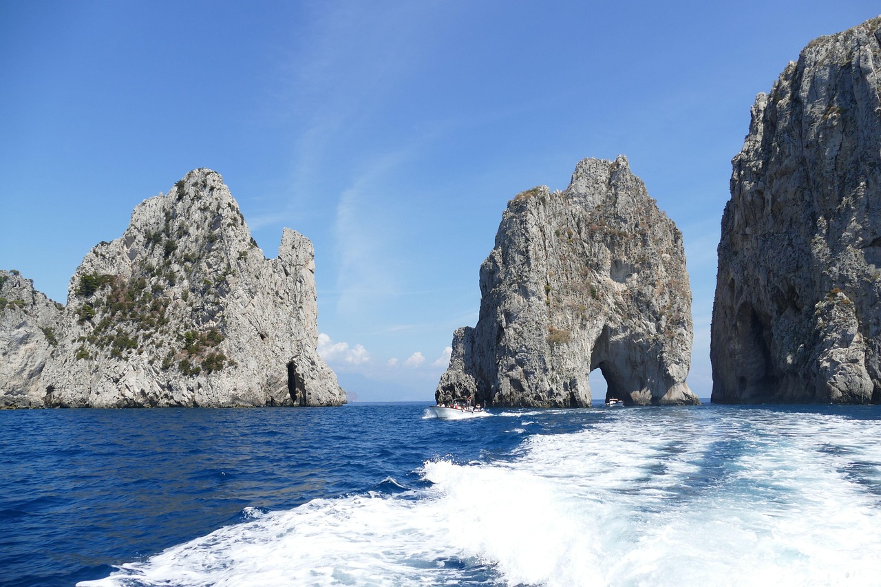 南乔治亚岛旅游攻略：轻松规划极地冒险，避开旅行陷阱