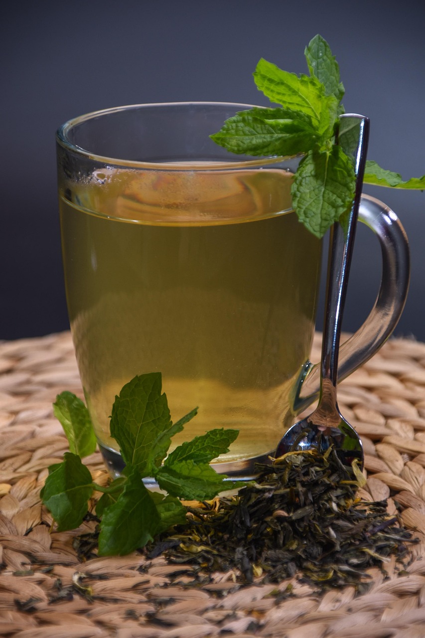 云南普洱旅游攻略：从茶香第一印象到古茶山探秘，轻松体验普洱茶文化之旅