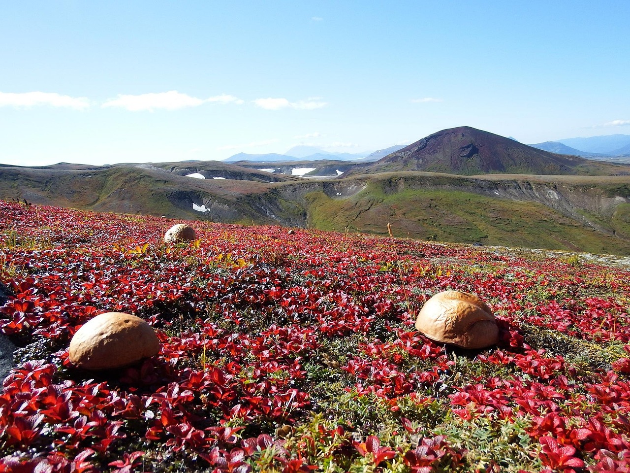 上海辰山植物园游玩全攻略：门票交通、最佳路线、必看景点一次搞定