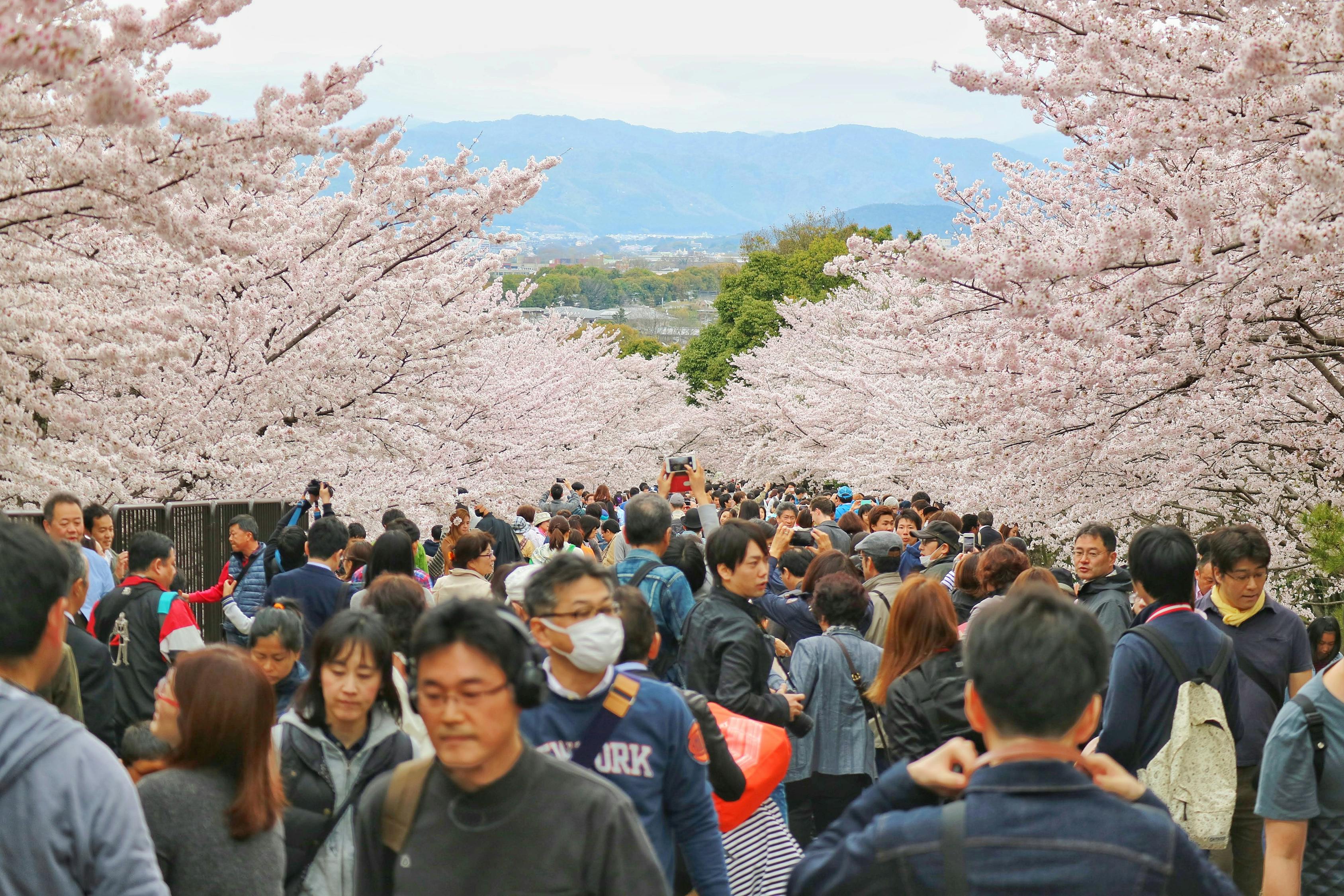 西山风景区旅游攻略：轻松规划完美行程，避开拥挤享受四季美景