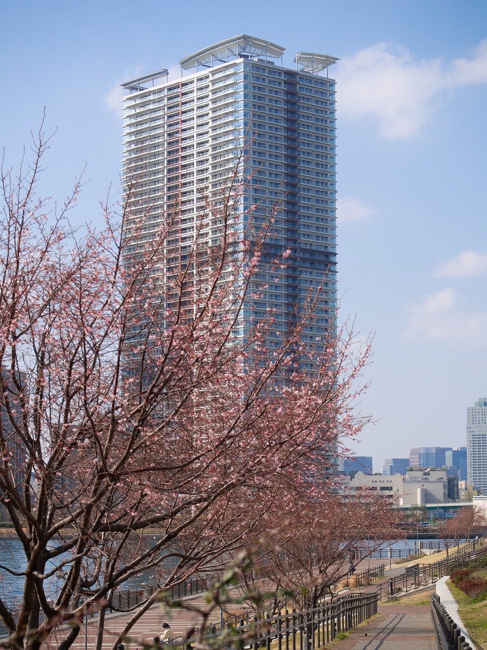 成都天府广场旅游攻略：交通美食景点全解析，轻松玩转城市中心