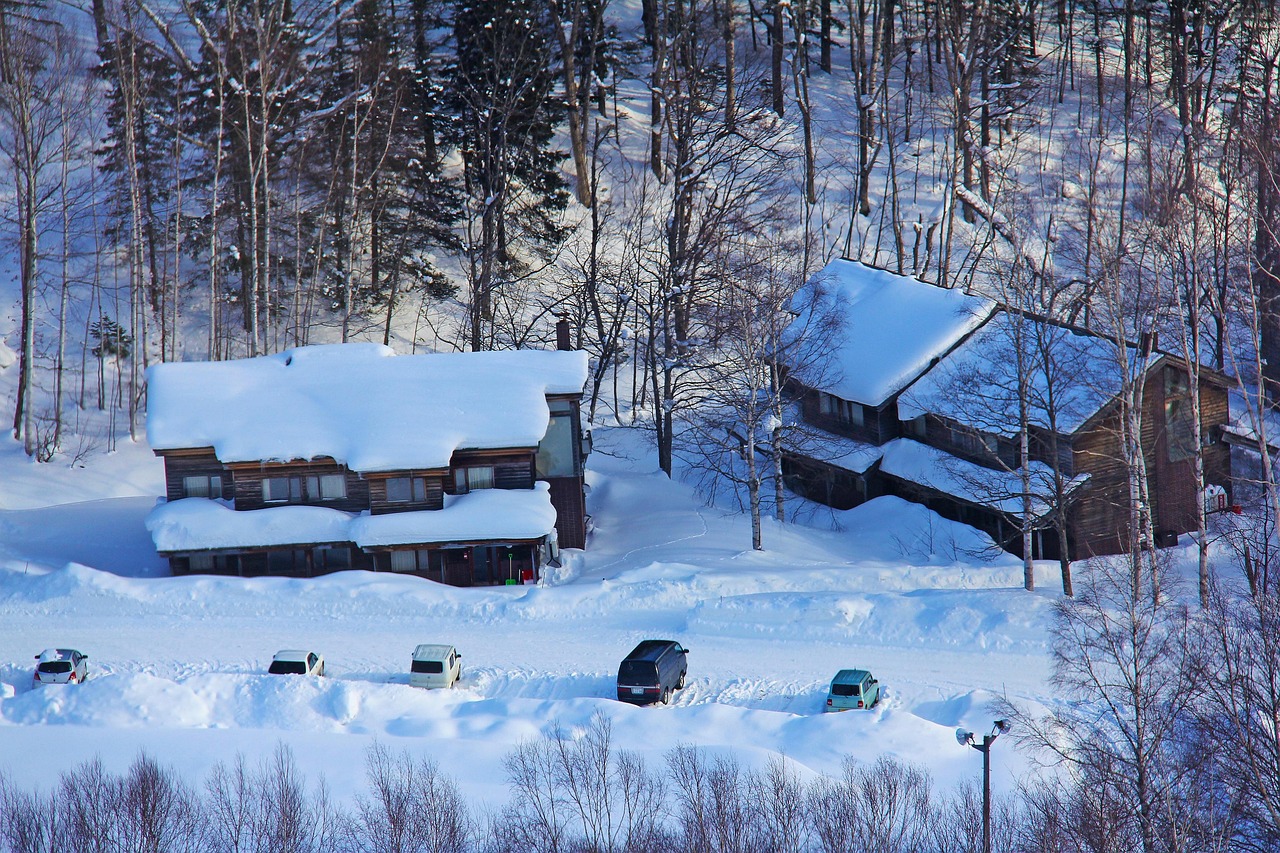 哈尔滨滑雪攻略：从新手到高手的完美体验，避开痛苦享受冰雪乐趣