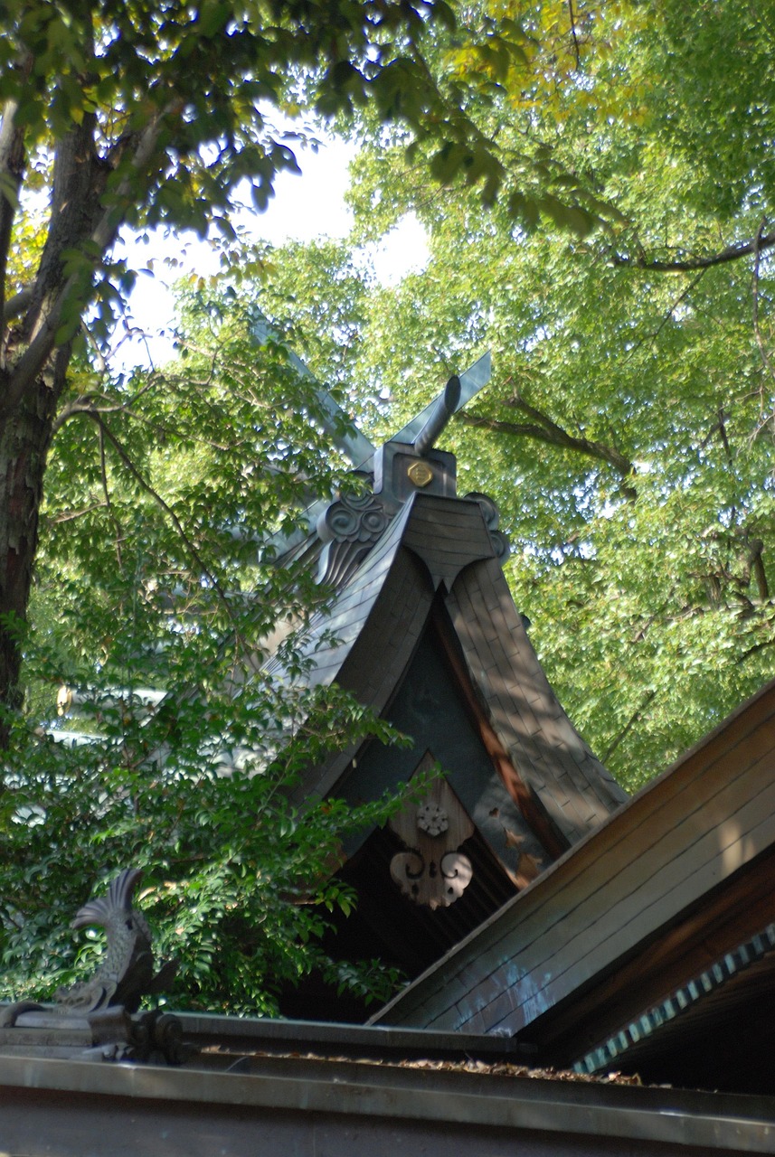 出云大社旅游攻略：轻松探访日本最古老神社，体验神道文化魅力