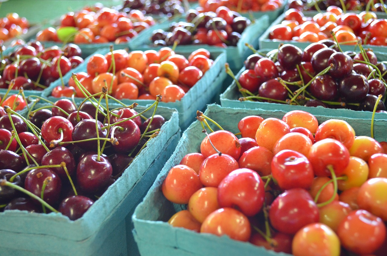 美国德州旅游攻略：最佳季节、必去景点与特色美食全解析，轻松规划完美旅程