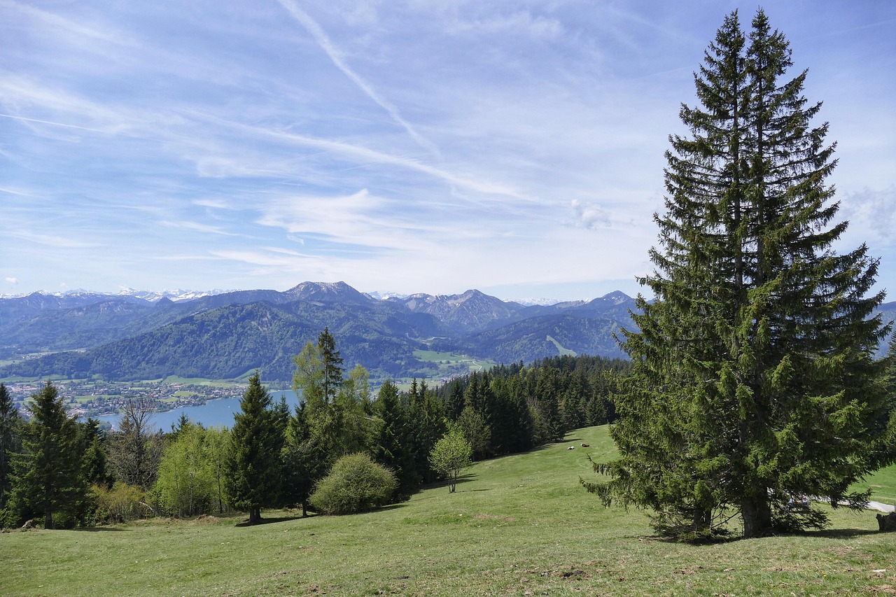 天津盘山风景名胜区旅游攻略：四季美景、门票优惠与最佳路线全解析