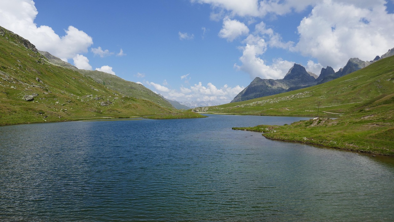 临安青山湖旅游攻略：四季美景、水上森林、亲子游乐全指南